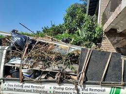 Best Scrap Metal Removal  in Northfield, IL